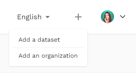 Added Organization/Dataset icon